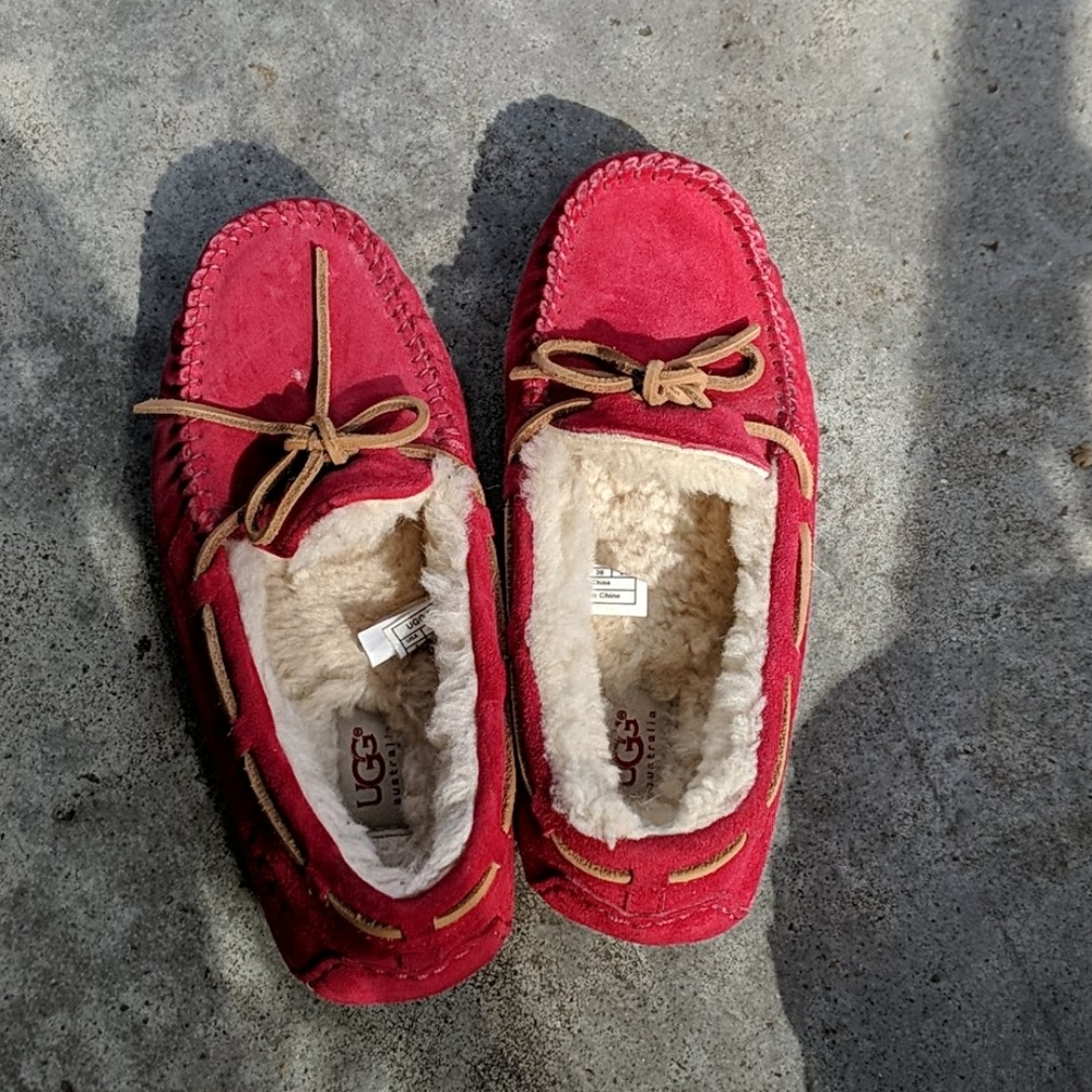 Uggs slip-ons